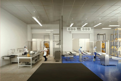 Ct Foodnex (D25), Factory #486188221